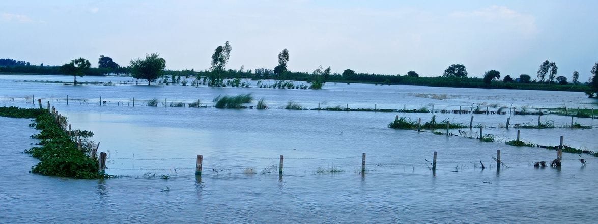 मिर्जापुर में बाढ़ से घिरे पहरुआ संपर्क मार्ग पर निकलते ग्रामीण। संवाद मिर्जापुर में बाढ़ से घिरे पहरुआ संपर्क मार्ग पर निकलते ग्रामीण। संवाद