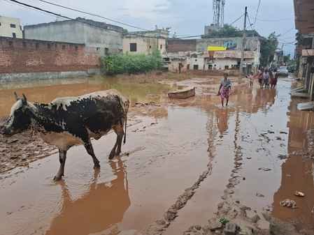 अंबाला छावनी में टांगरी बांध किनारे कीचड़ से सनी न्यू टेगोर नगर की गली। संवाद अंबाला छावनी में टांगरी बांध किनारे कीचड़ से सनी न्यू टेगोर नगर की गली। संवाद