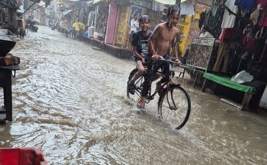 बारिश और तेज हवा से राजा का रामपुर क्षेत्र में गिरी बाजरा की फसल। संवाद