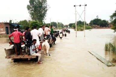 जलालाबाद क्षेत्र में बाढ़ के पानी से जलमग्न हुई फसलें। संवाद