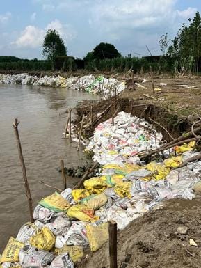 टापू कमालपुर में मिट्टी के कट्टे लगाते ग्रामीण। संवाद टापू कमालपुर में मिट्टी के कट्टे लगाते ग्रामीण। संवाद