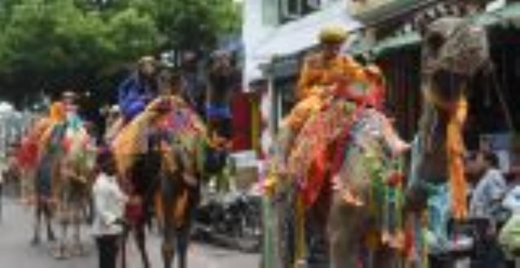 दस दिन तक घरों, पंडालों में विराजे विघ्नहर्ता को विदा करने के लिए झूलेलाल, कुड़ियाघाट पर आस्था दस दिन तक घरों, पंडालों में विराजे विघ्नहर्ता को विदा करने के लिए झूलेलाल, कुड़ियाघाट पर आस्था