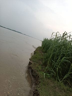 सहसवान के तटबंध पर पन्नी और त्रिपालों के घरों में रह रहे बाढ़ पीड़ित। संवाद सहसवान के तटबंध पर पन्नी और त्रिपालों के घरों में रह रहे बाढ़ पीड़ित। संवाद