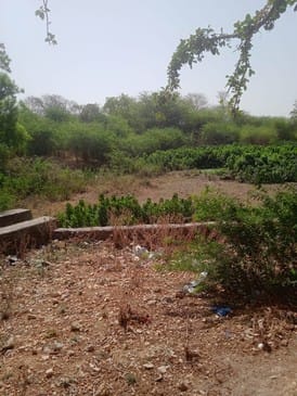 तिंदवारी के मुगुंस गांव में सूखा पड़ा अमृत सरोवर। तिंदवारी के मुगुंस गांव में सूखा पड़ा अमृत सरोवर।