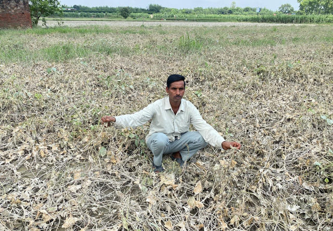 यमुना में खतरे के नीचे बह रहा पानी। संवाद यमुना में खतरे के नीचे बह रहा पानी। संवाद