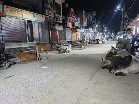 08जेएनडी38-कपिल दुकानदार। संवाद 08जेएनडी38-कपिल दुकानदार। संवाद