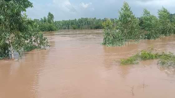 15 गुहला-चीका। दोपहर दो बजकर 20 मिनट पर बुबकपुर से रत्ताखेड़ा लुकमान सड़क पर पानी से गुजरती हुए 15 गुहला-चीका। दोपहर दो बजकर 20 मिनट पर बुबकपुर से रत्ताखेड़ा लुकमान सड़क पर पानी से गुजरती हुए