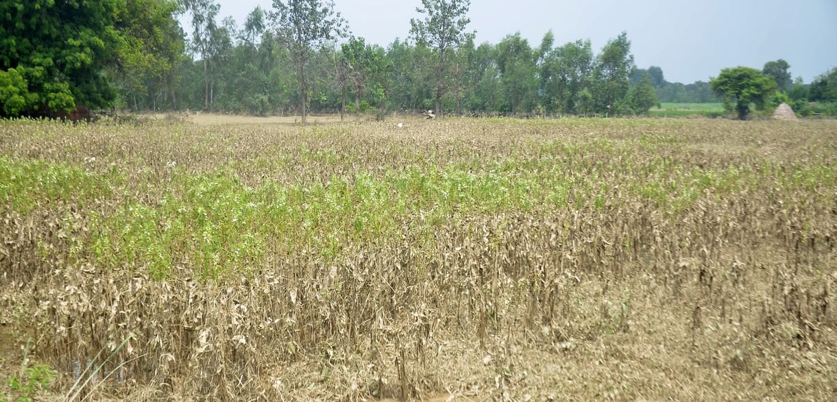 न्यू ककरा सिटी में बाढ़ के कारण बंद पड़ा शाहजहांपुर विकास प्राधिकरण कार्यालय। संवाद न्यू ककरा सिटी में बाढ़ के कारण बंद पड़ा शाहजहांपुर विकास प्राधिकरण कार्यालय। संवाद