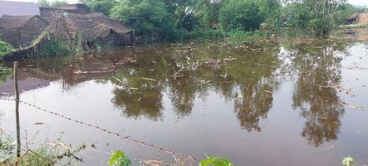 उसहैत क्षेत्र के बाढ़ पीड़ितों को दवा देती स्वास्थ्य विभाग की टीम। संवाद