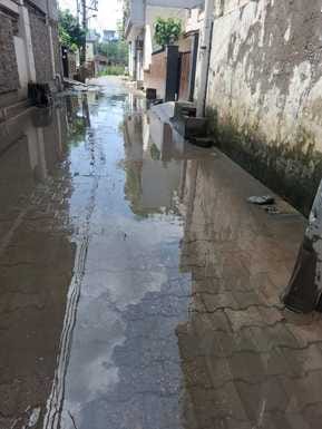 अंबाला छावनी के गोबिंद नगर से सुभाष नगर की तरफ जाने वाले रास्ते पर जलभराव। संवाद