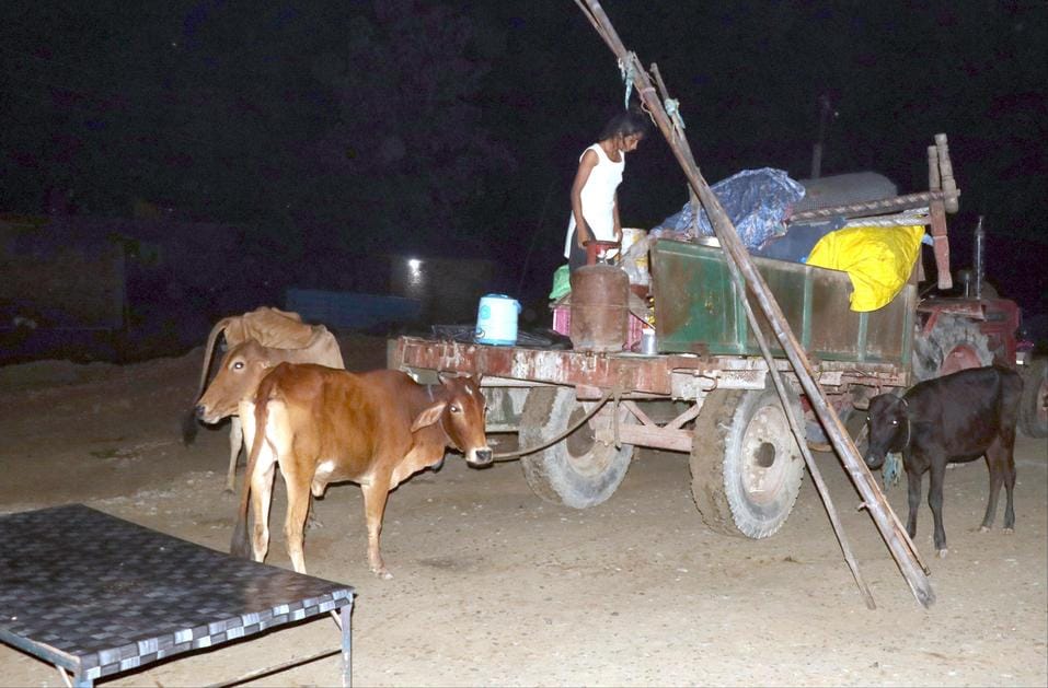 बिजनौर में गंगा बैराज के तटबंध के टूटने के डर से अपने पशुओं के साथ हाइवे पर चारपाई पर लेटे ग्रा बिजनौर में गंगा बैराज के तटबंध के टूटने के डर से अपने पशुओं के साथ हाइवे पर चारपाई पर लेटे ग्रा