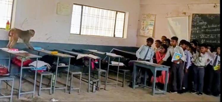 निगोहां के निजी स्कूल में मंगलवार को कक्षाा में घुसा बंदर।
