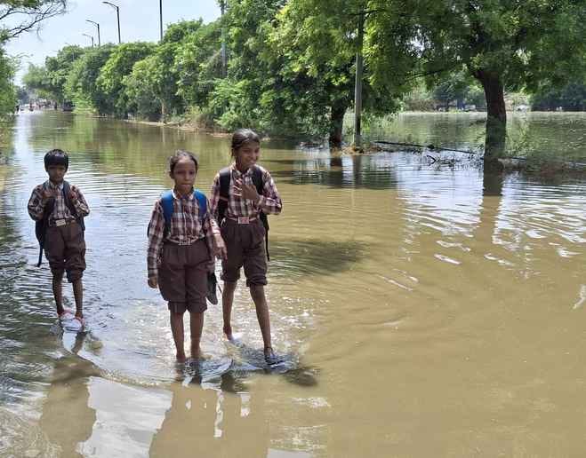 -फोटो 54 : छोटूराम नगर में मकानों के आसपास भरा ड्रेन का पानी। संवाद -फोटो 54 : छोटूराम नगर में मकानों के आसपास भरा ड्रेन का पानी। संवाद