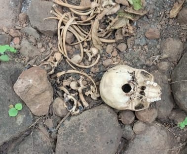 नाबालिग का कंकाल मिला