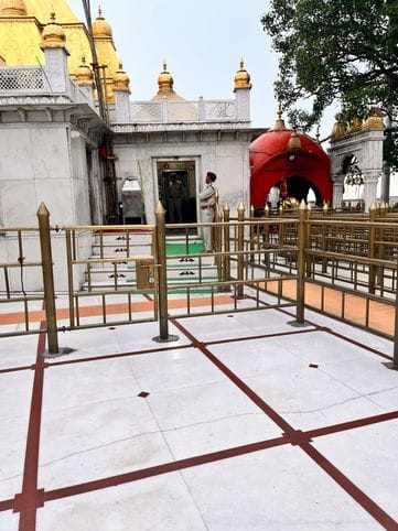 रिंकू रिंकू