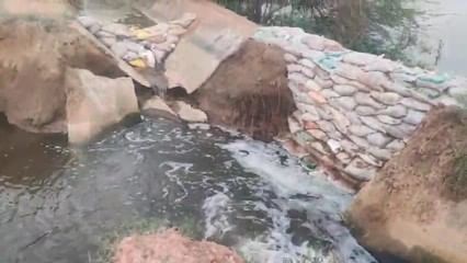 11jjrp17- साल्हावास क्षेत्र के गांवों में जलभराव के कारण डूबी फसल। स्रोत-ग्रामीण