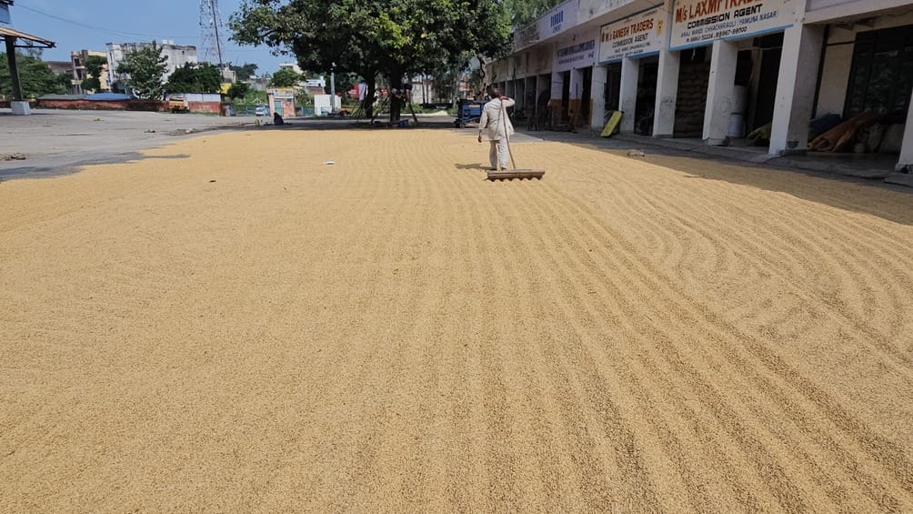 मंडी में बने शौचालय पर लगे ताले। संवाद