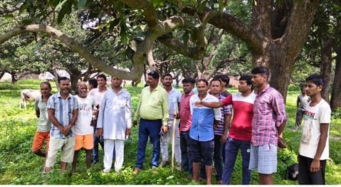 बरौंछा की बाघिन की सैटेलाइट से निगरानी करते वनाधिकारी। स्रोत : वन विभाग।