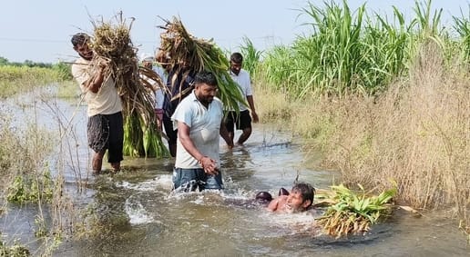 फोटो स्टार परफॅार्मर के लिए:- किसान जूझ रहे, तब पुशओं का पेट भर रहा: हिंडन नदी का जलस्तर बढ़न फोटो स्टार परफॅार्मर के लिए:- किसान जूझ रहे, तब पुशओं का पेट भर रहा: हिंडन नदी का जलस्तर बढ़न