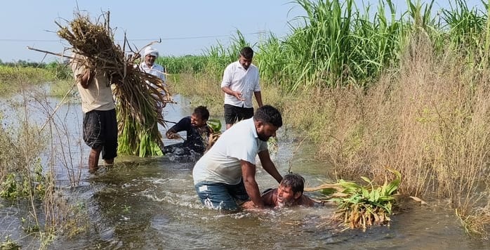 फोटो स्टार परफॅार्मर के लिए:- किसान जूझ रहे, तब पुशओं का पेट भर रहा: हिंडन नदी का जलस्तर बढ़न फोटो स्टार परफॅार्मर के लिए:- किसान जूझ रहे, तब पुशओं का पेट भर रहा: हिंडन नदी का जलस्तर बढ़न