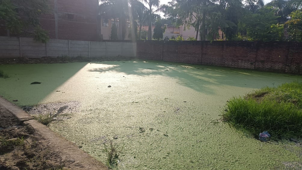 फोटो 14 एचएएमपी 10- शहर के टीचर्स काॅलोनी में सड़क पर भरे गंदे पानी से निकलता बाइक सवार। संवाद फोटो 14 एचएएमपी 10- शहर के टीचर्स काॅलोनी में सड़क पर भरे गंदे पानी से निकलता बाइक सवार। संवाद