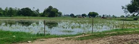 फोटो12सोरोंजी के बाढ़ प्रभावित गांव लहरा में किसानों को फसलों की क्षति का आंकलन के बारे में जान