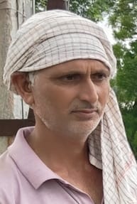 लाडवा। पानी की मार में आई धान की फसल। संवाद लाडवा। पानी की मार में आई धान की फसल। संवाद