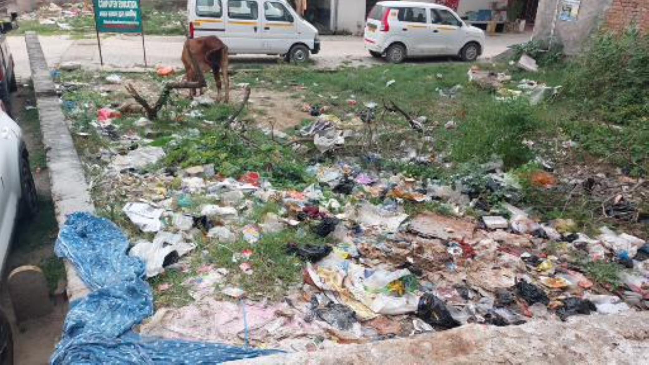 बीएसए काॅलेज रोड पर खाली प्लाॅट में लगा कूड़े का ढेर। बीएसए काॅलेज रोड पर खाली प्लाॅट में लगा कूड़े का ढेर।