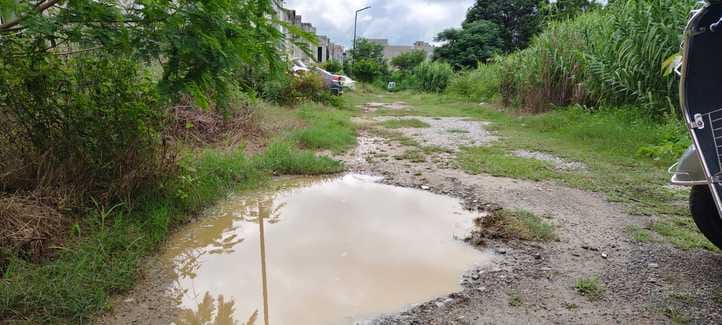 जिन आवास में स्टाफ रहता है उसके पास उगी लंबी झाड़ियां। संवाद जिन आवास में स्टाफ रहता है उसके पास उगी लंबी झाड़ियां। संवाद