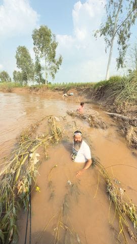 कुरुक्षेत्र। नदी में उगे झांड़ियों के बीच संजू की तलाश करते गोताखोर प्रगट सिंह। स्वंय कुरुक्षेत्र। नदी में उगे झांड़ियों के बीच संजू की तलाश करते गोताखोर प्रगट सिंह। स्वंय