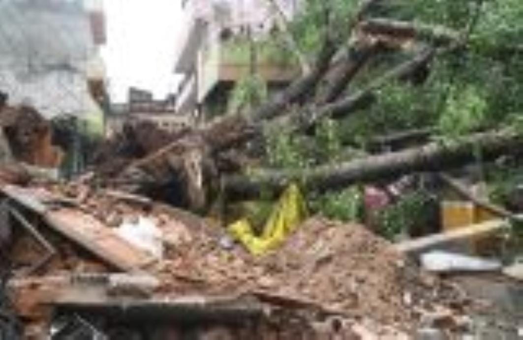 कैसरबाग की मछली मंडी में मंगलवार को पुराना पेड़ गिर पड़ा। इसके नीचे कई लोग दब गए। एक की मौत हो कैसरबाग की मछली मंडी में मंगलवार को पुराना पेड़ गिर पड़ा। इसके नीचे कई लोग दब गए। एक की मौत हो