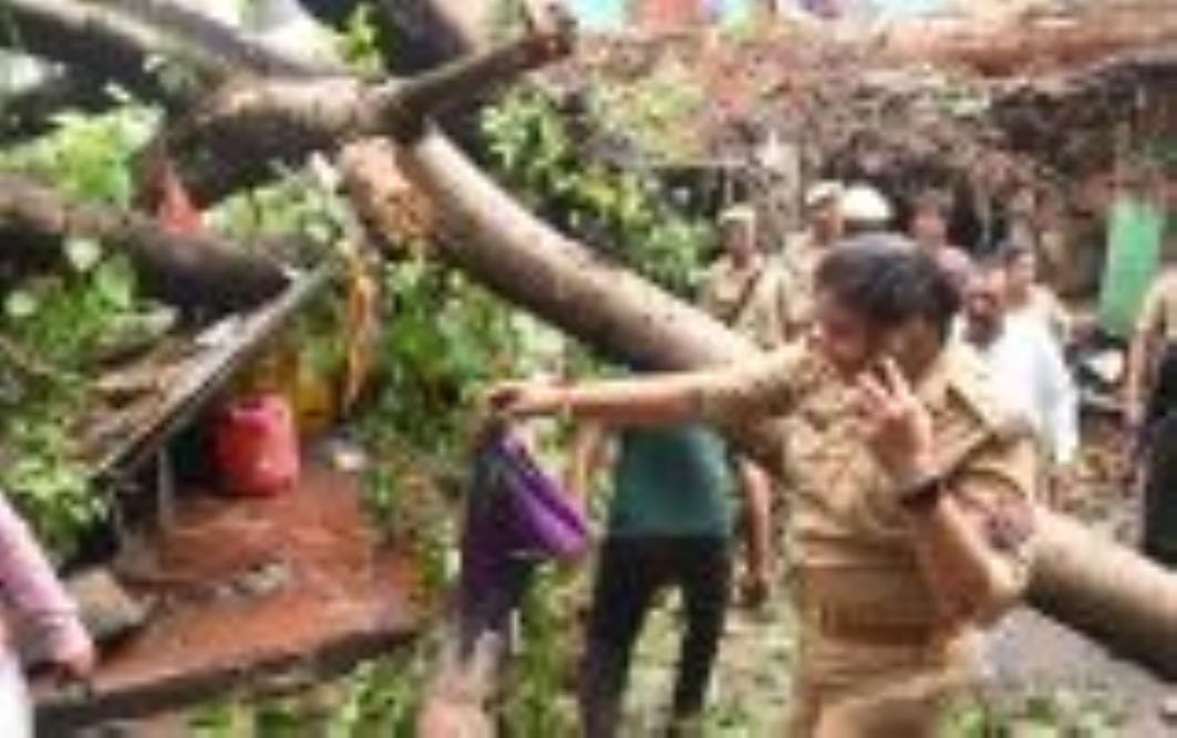 कैसरबाग की मछली मंडी में मंगलवार को पुराना पेड़ गिर पड़ा। इसके नीचे कई लोग दब गए। एक की मौत हो कैसरबाग की मछली मंडी में मंगलवार को पुराना पेड़ गिर पड़ा। इसके नीचे कई लोग दब गए। एक की मौत हो