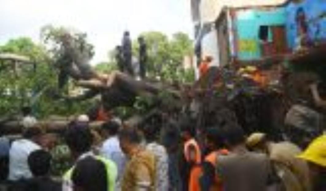 कैसरबाग की मछली मंडी में मंगलवार को पुराना पेड़ गिर पड़ा। इसके नीचे कई लोग दब गए। एक की मौत हो कैसरबाग की मछली मंडी में मंगलवार को पुराना पेड़ गिर पड़ा। इसके नीचे कई लोग दब गए। एक की मौत हो