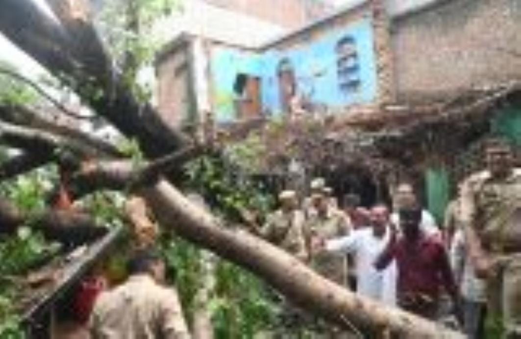 कैसरबाग की मछली मंडी में मंगलवार दोपहर पीपल का 150 वर्ष पुराना पेड़ गिर गया। इसकी चपेट में आकर 