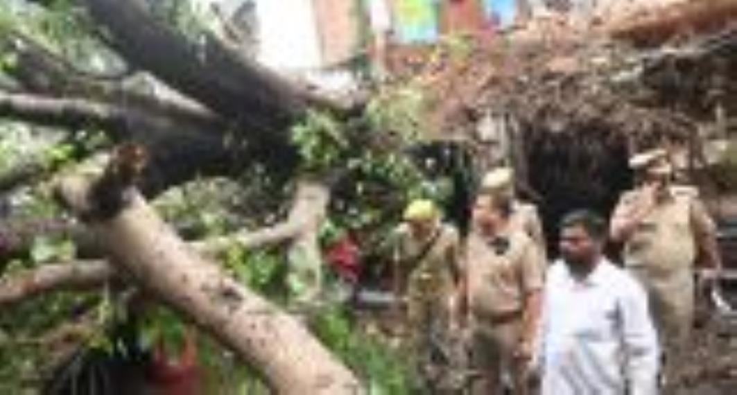 कैसरबाग की मछली मंडी में मंगलवार दोपहर पीपल का 150 वर्ष पुराना पेड़ गिर गया। इसकी चपेट में आकर 