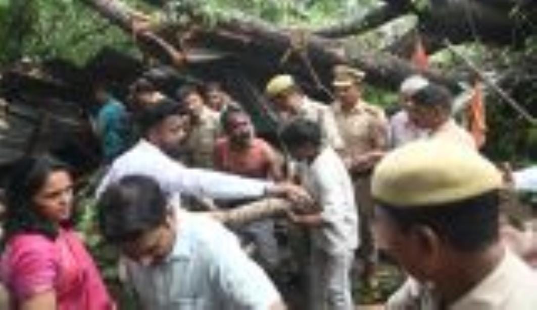 कैसरबाग की मछली मंडी में मंगलवार दोपहर पीपल का 150 वर्ष पुराना पेड़ गिर गया। इसकी चपेट में आकर 