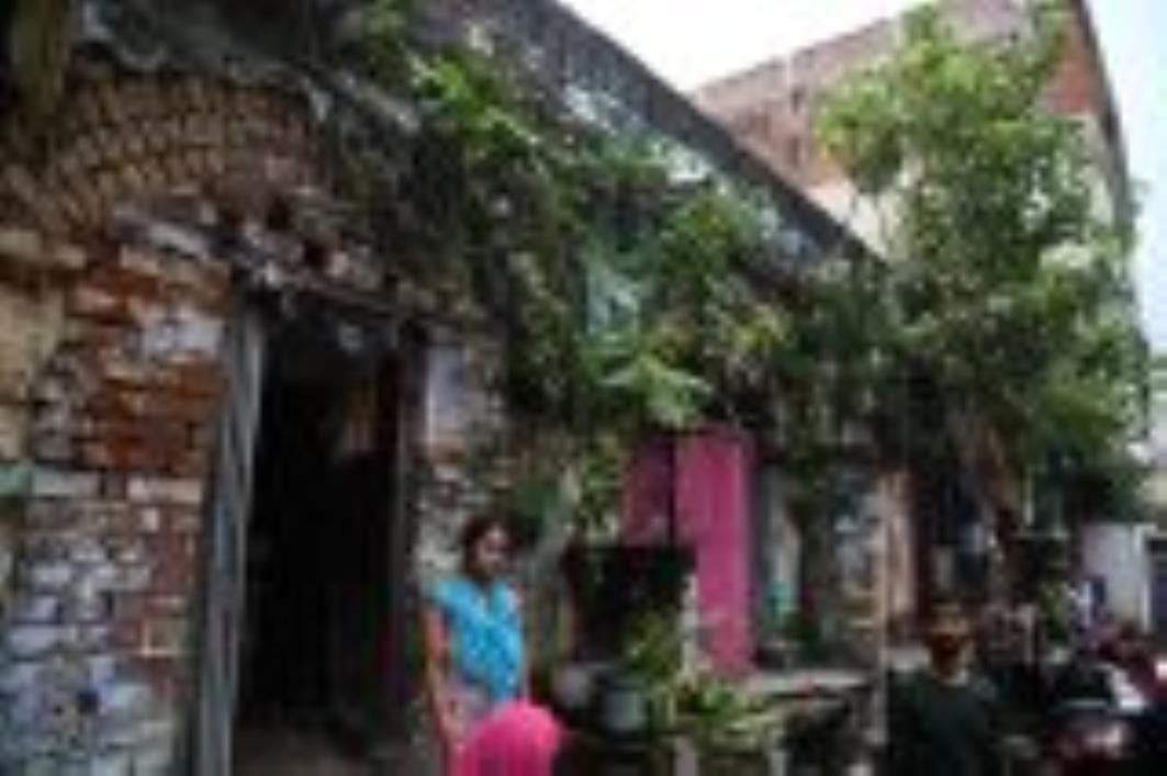 कैसरबाग में इसी स्थान पर गिरा था पेड़। लोगों ने बताई परेशानी। कैसरबाग में इसी स्थान पर गिरा था पेड़। लोगों ने बताई परेशानी।