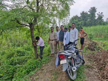 सरखनपुर के खेत में बाघ के पगचिन्ह। संवाद