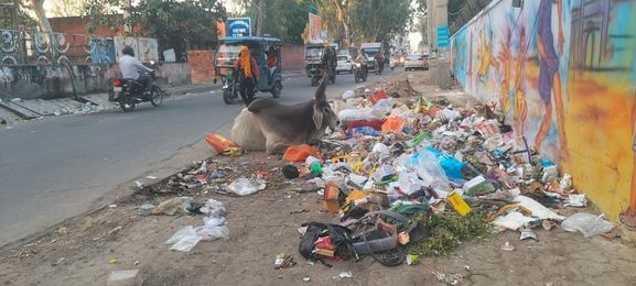 24  रोहतक स्थित झज्जर रोड मोड़ पर शाम 5 बजकर 39 मिंट पर पड़ा कचरा। संवाद