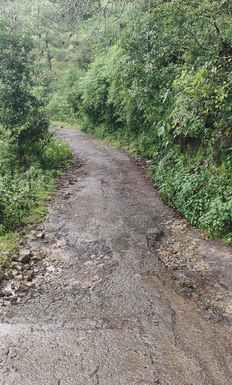 डूंगाघाट-बागथन सड़क पर बने गड्ढे व बारिश के बाद उनमें भरा पानी। संवाद