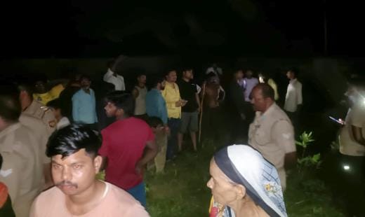 जंगल में बेसुध मिलीं गायें।