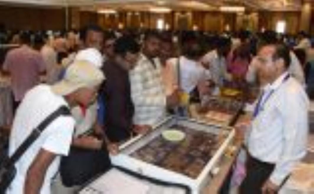 सैकड़ों संग्रहकर्ता देशभर से राजधानी के निरालानगर में लगी अवध सिक्का प्रदर्शनी में पहुंचे हैं। सैकड़ों संग्रहकर्ता देशभर से राजधानी के निरालानगर में लगी अवध सिक्का प्रदर्शनी में पहुंचे हैं।