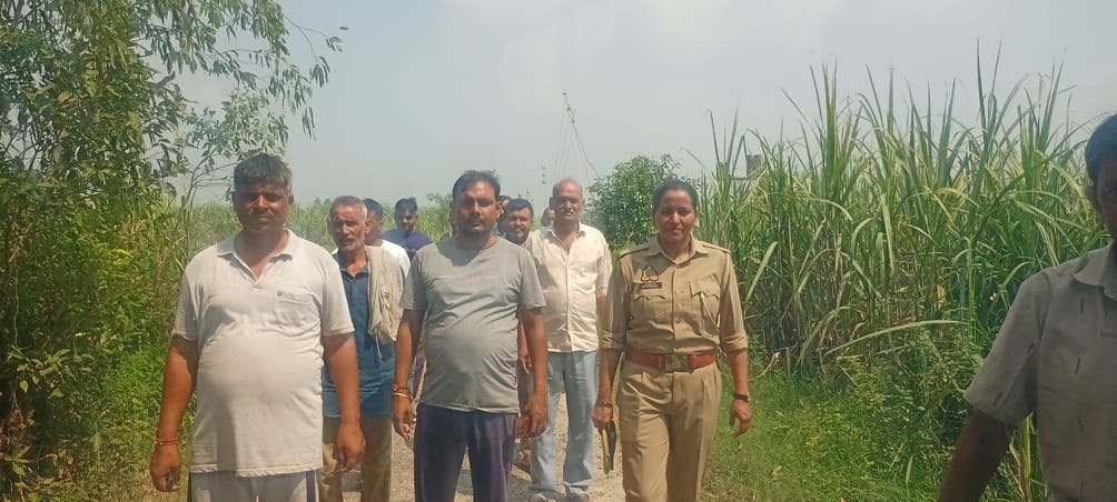 गांव दुल्हापुर पट्टी चौहान में जंगल में मिले जंगली जानवर के बच्चे गांव दुल्हापुर पट्टी चौहान में जंगल में मिले जंगली जानवर के बच्चे
