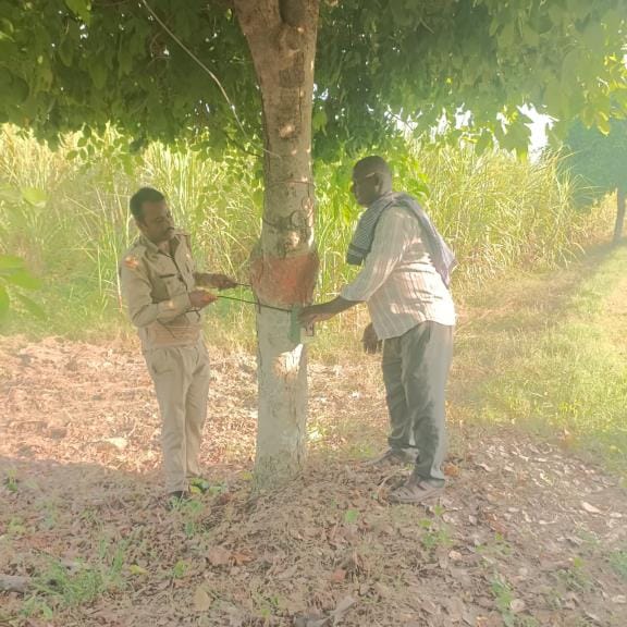 कैंट इलाके में नाइट विजन सेंसरयुक्त कैमरे लगाते वन कर्मी एवं तेंदुआ दिखने के वायरल वीडियो का स् कैंट इलाके में नाइट विजन सेंसरयुक्त कैमरे लगाते वन कर्मी एवं तेंदुआ दिखने के वायरल वीडियो का स्