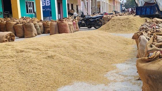 फोटो 10: सोनीपत की अनाज मंडी में धान की ढेरी को देख खरीद प्रक्रिया का जायजा लेते प्रदेश अध्यक् फोटो 10: सोनीपत की अनाज मंडी में धान की ढेरी को देख खरीद प्रक्रिया का जायजा लेते प्रदेश अध्यक्