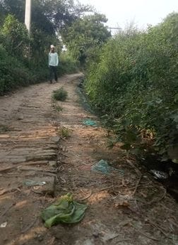 फोटो-21- कल्याणी मंदिर जाने वाले मार्ग की क्षतिग्रस्त इंटरलॉकिंग व फैला कूड़ा। संवाद