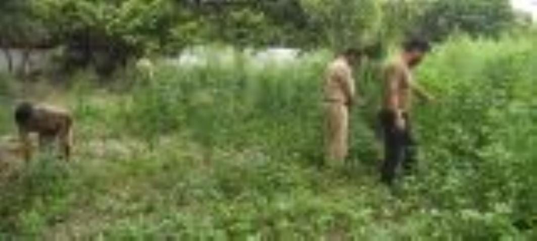 गश्त करती टीम और गेट पर चिपका नोटिस।