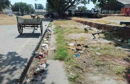 अनाज मंडी में धान की जांच करती वेयरहाउस अधिकारी ज्योति अग्रवाल साथ में मंडी सचिव आशा कुमारी। स अनाज मंडी में धान की जांच करती वेयरहाउस अधिकारी ज्योति अग्रवाल साथ में मंडी सचिव आशा कुमारी। स