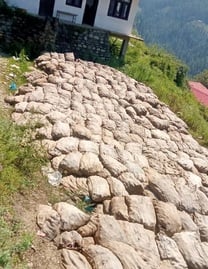 चौपाल उपमंडल में सड़कों पर पड़े सेब में मुंह मारता पशु। संवाद चौपाल उपमंडल में सड़कों पर पड़े सेब में मुंह मारता पशु। संवाद