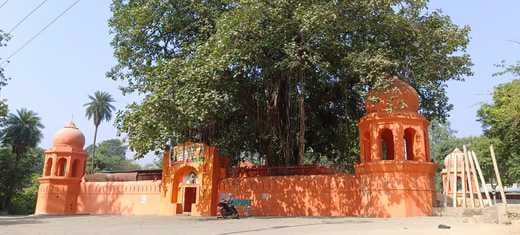 सुधा खटीक चेयरपर्सन हस्तिनापुर